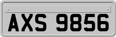AXS9856