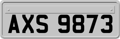 AXS9873