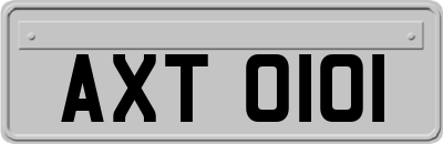 AXT0101