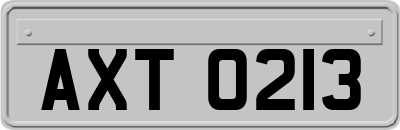 AXT0213