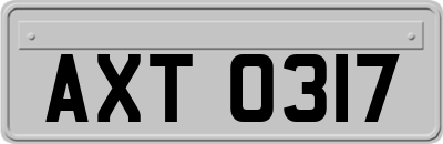 AXT0317