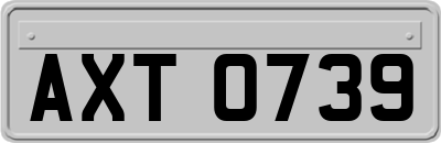 AXT0739