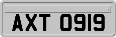 AXT0919