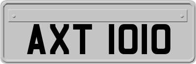AXT1010