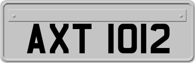 AXT1012