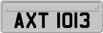 AXT1013