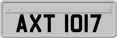 AXT1017