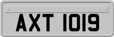 AXT1019
