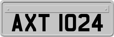 AXT1024