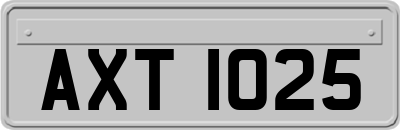 AXT1025