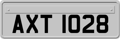 AXT1028