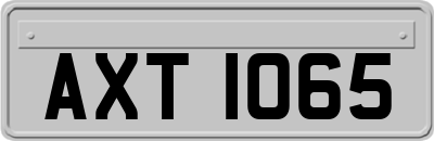 AXT1065