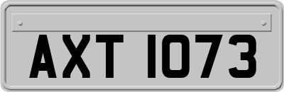 AXT1073