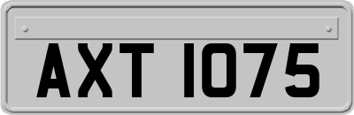 AXT1075