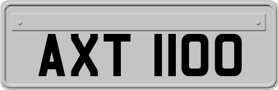 AXT1100