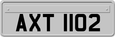 AXT1102