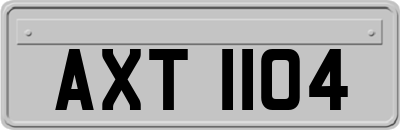 AXT1104