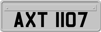 AXT1107