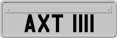 AXT1111