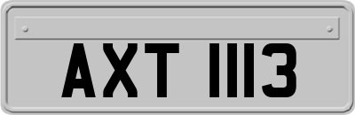 AXT1113