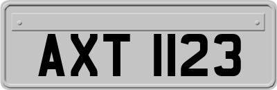 AXT1123