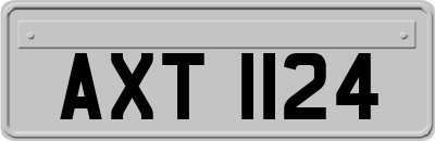 AXT1124