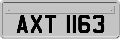 AXT1163