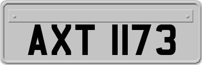 AXT1173