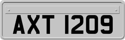 AXT1209