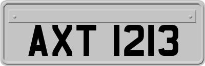 AXT1213