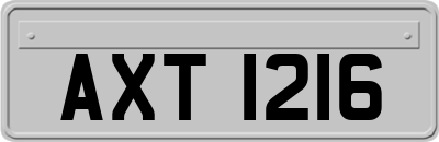 AXT1216
