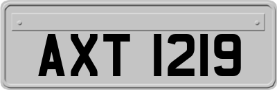 AXT1219