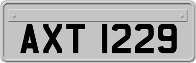 AXT1229