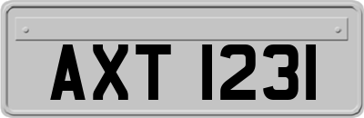 AXT1231