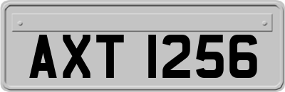 AXT1256