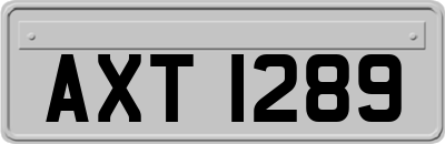 AXT1289