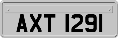 AXT1291