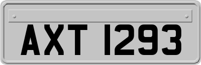 AXT1293