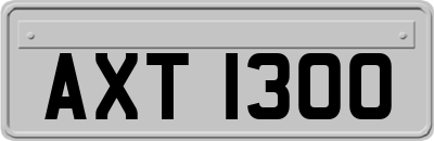 AXT1300