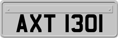 AXT1301