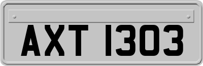 AXT1303