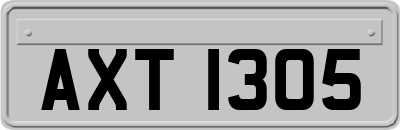 AXT1305