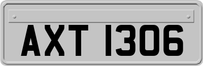 AXT1306