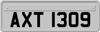 AXT1309