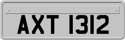 AXT1312