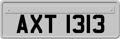 AXT1313