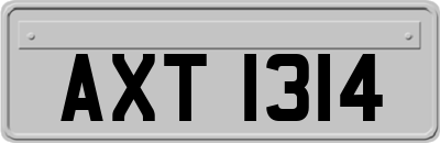 AXT1314