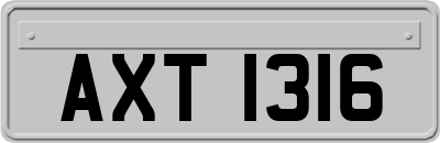 AXT1316