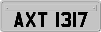 AXT1317