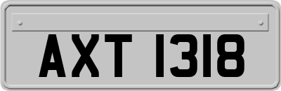 AXT1318